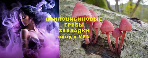 Альфа ПВП Абаза